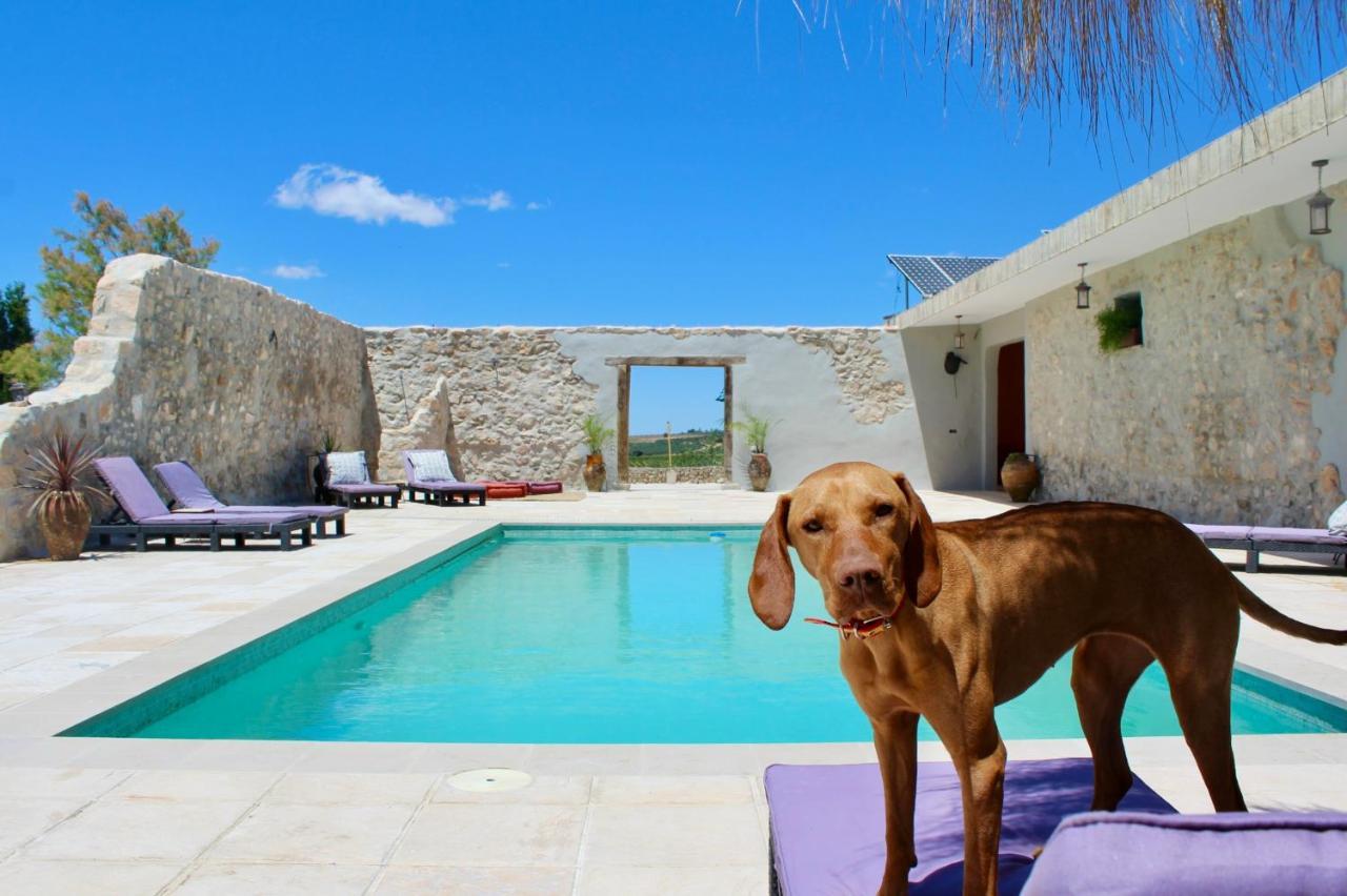 Room In Villa - Beautiful Accommodation At The Heart Of Andalusia Puente Genil Exterior photo