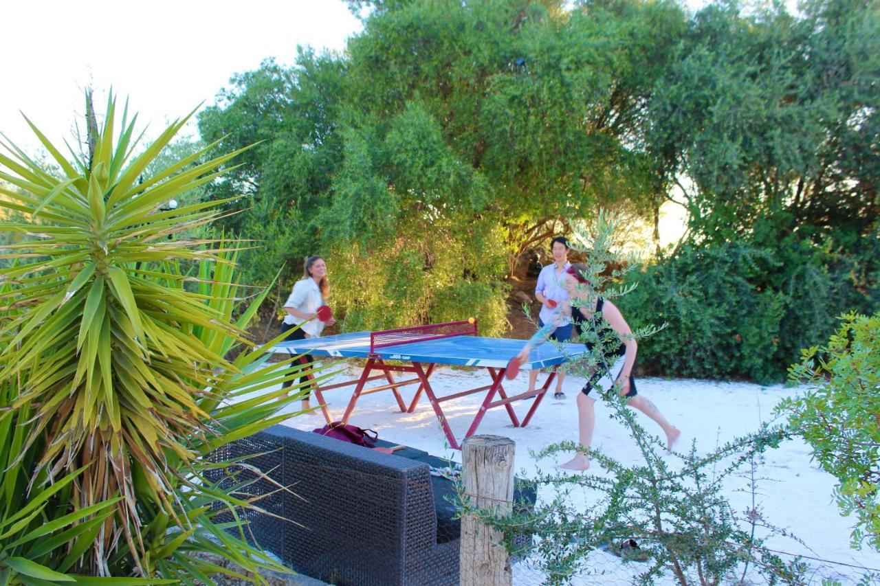 Room In Villa - Beautiful Accommodation At The Heart Of Andalusia Puente Genil Exterior photo